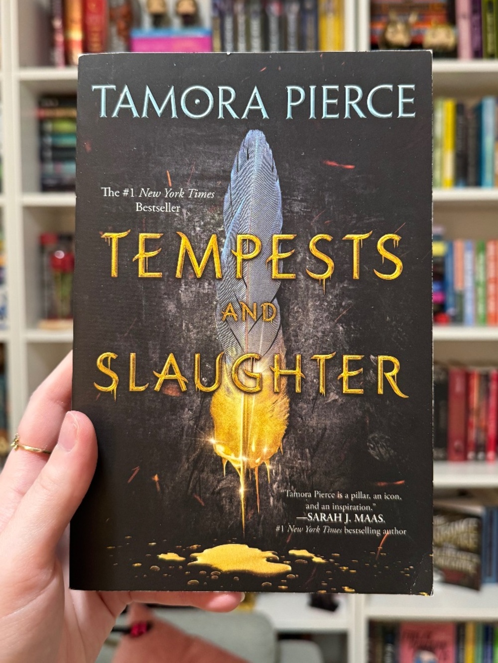 *BRAND NEW* YA Fantasy Book: Tempest and Slaughter